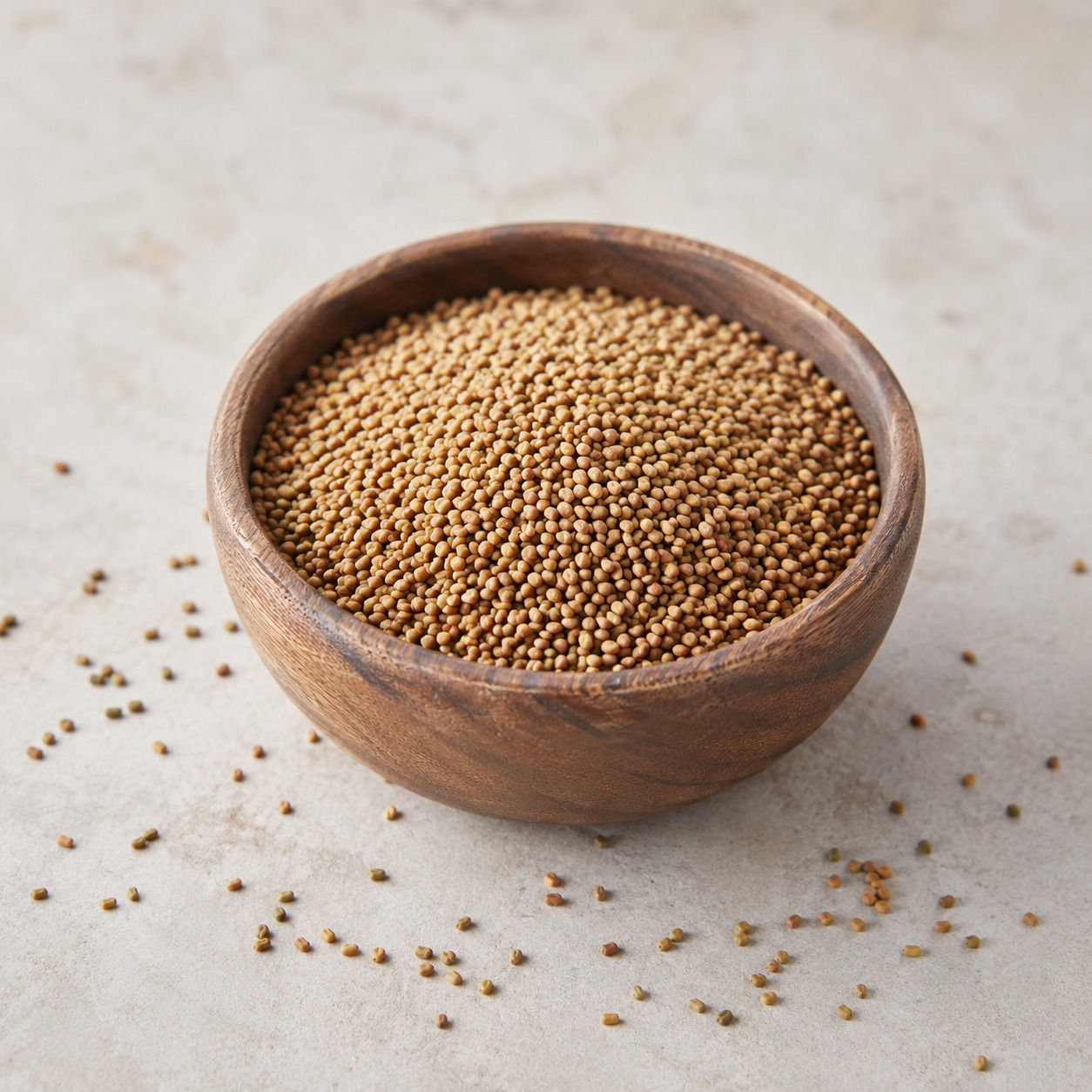 Pakistan origin alfalfa seeds exporter for bulk buyers